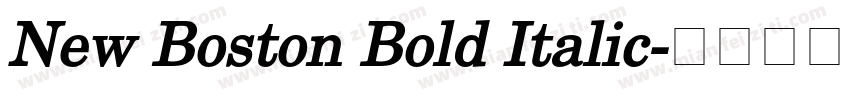 New Boston Bold Italic字体转换